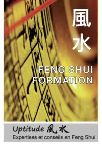 Cours de base "Foundation in Chue Style Feng Shui" (Module A)