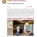 Feng Shui Pour tous (Feng Shui for All - for undergraduates)