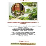 Module A - fondamentaux en fengshui Chue style
